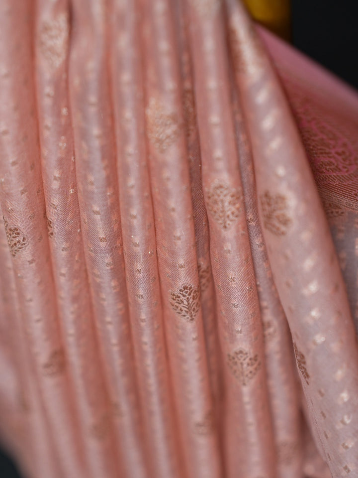 Organza Saree TSA2754