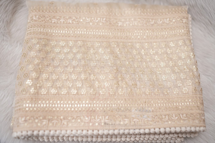 Raina Net Saree TSA2795