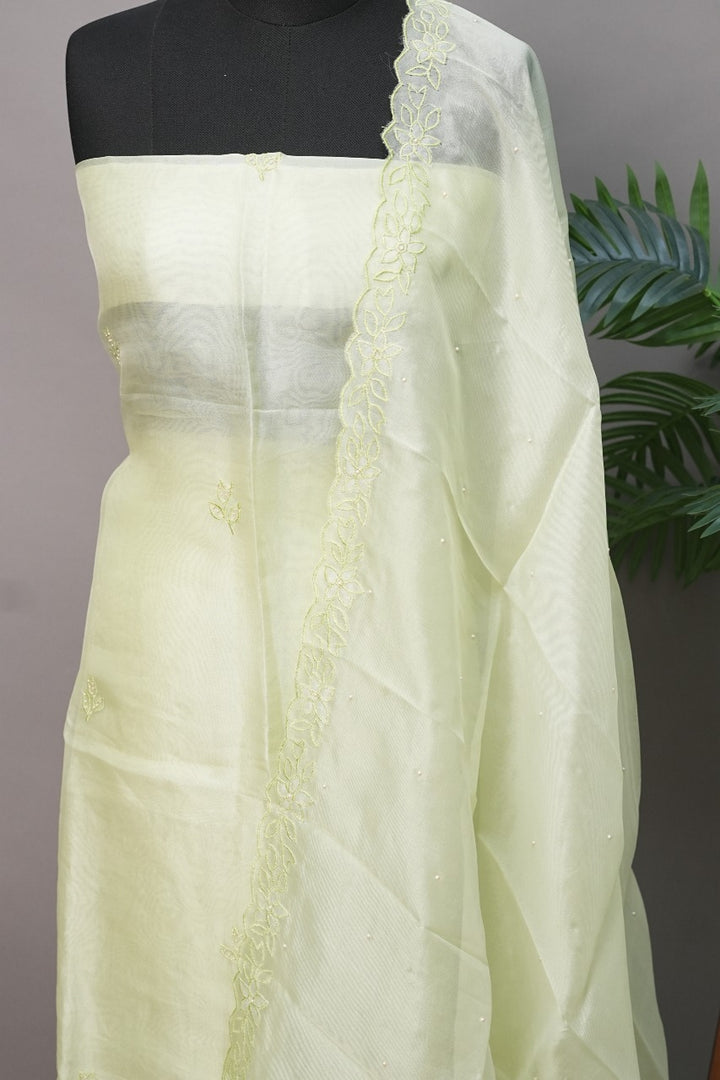 Organza Salwar TSS2946