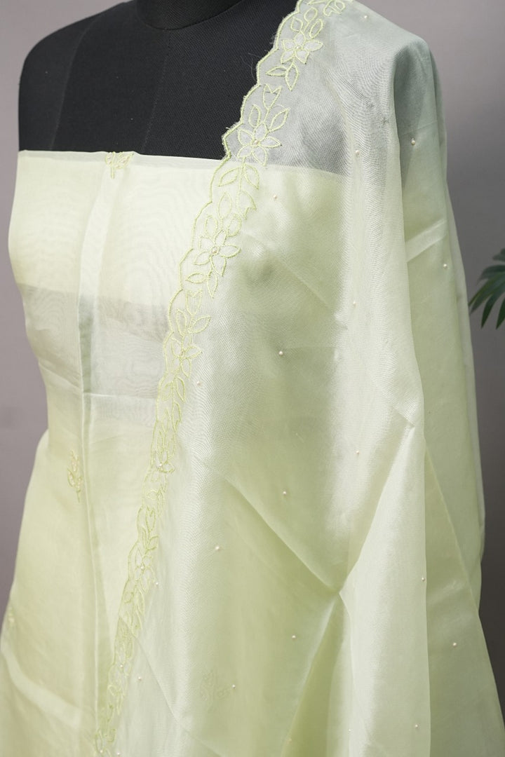 Organza Salwar TSS2946
