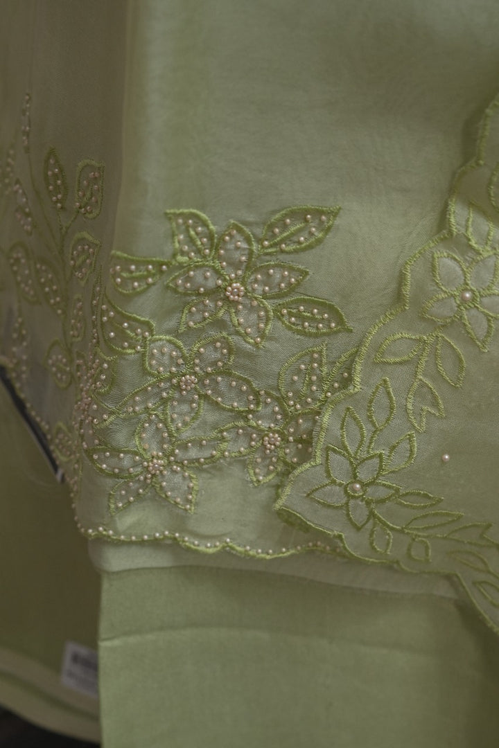 Organza Salwar TSS2946
