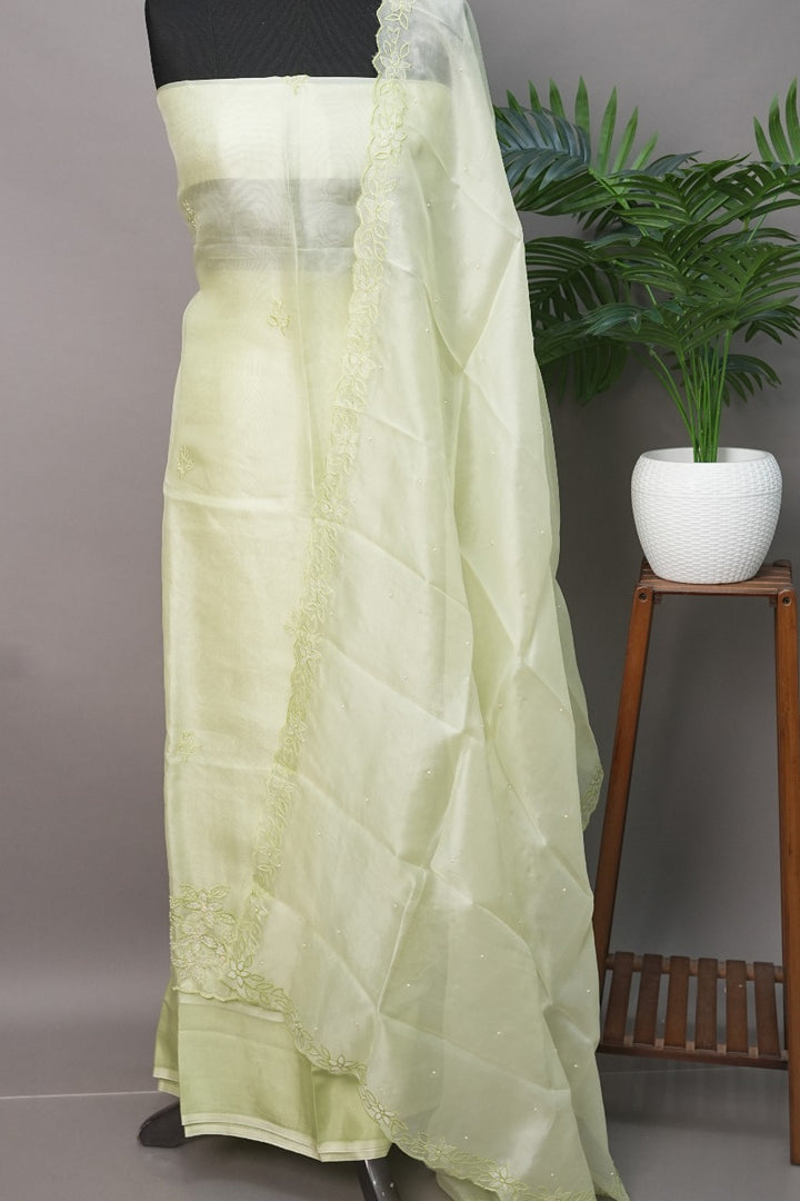 Organza Salwar TSS2946