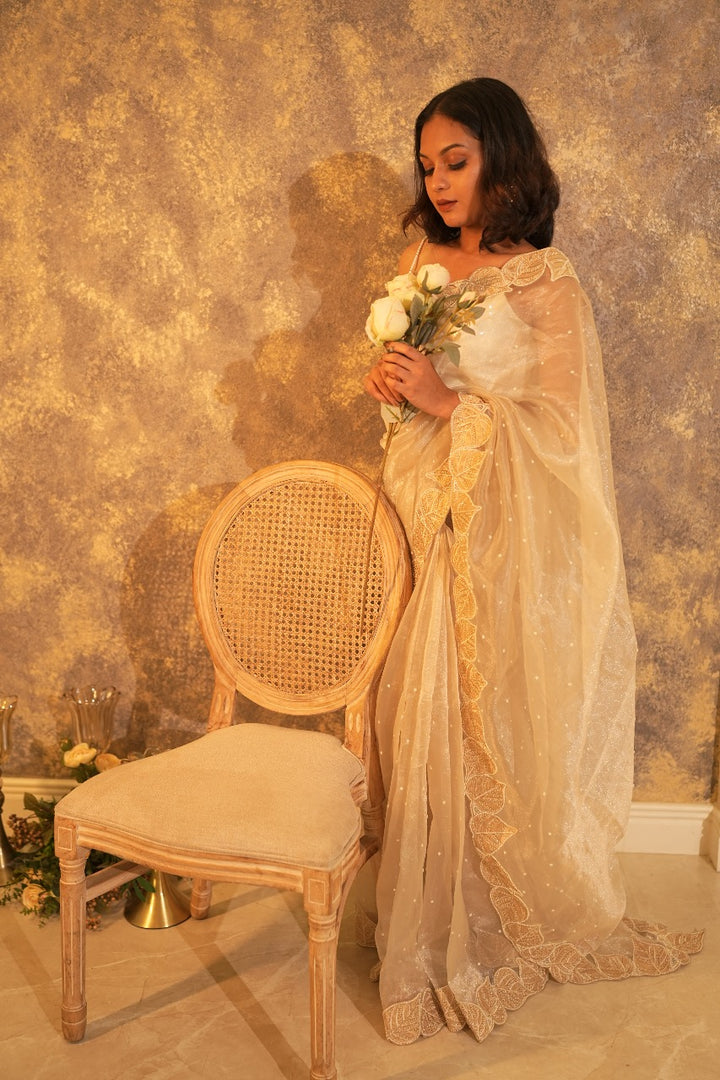 Organza Saree TSA333