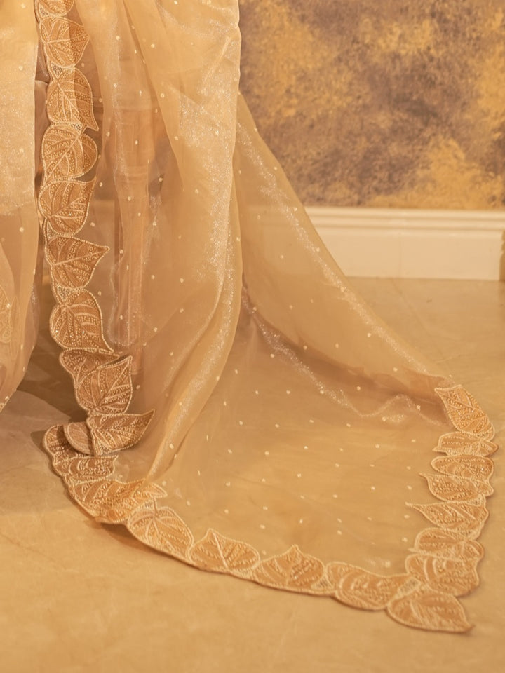 Organza Saree TSA333