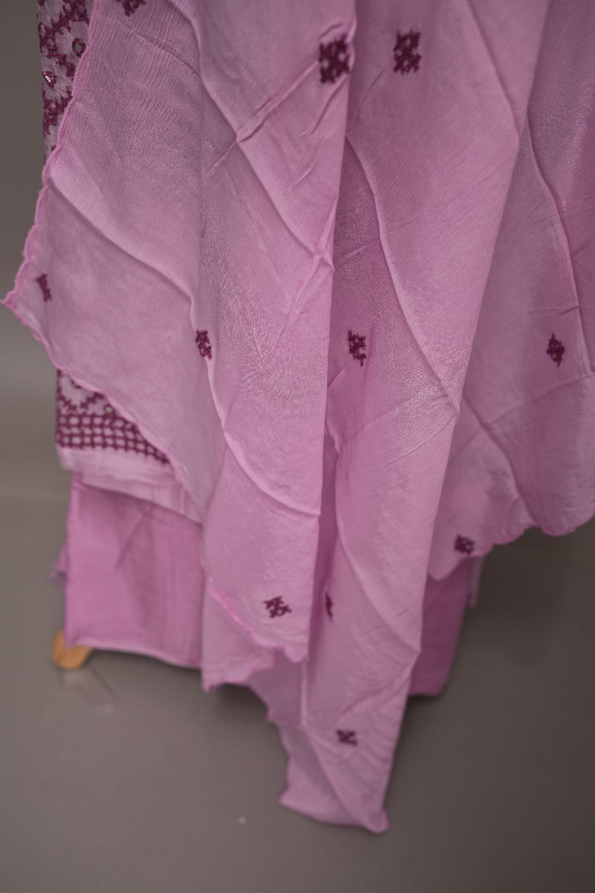Organza Salwar TSS2999