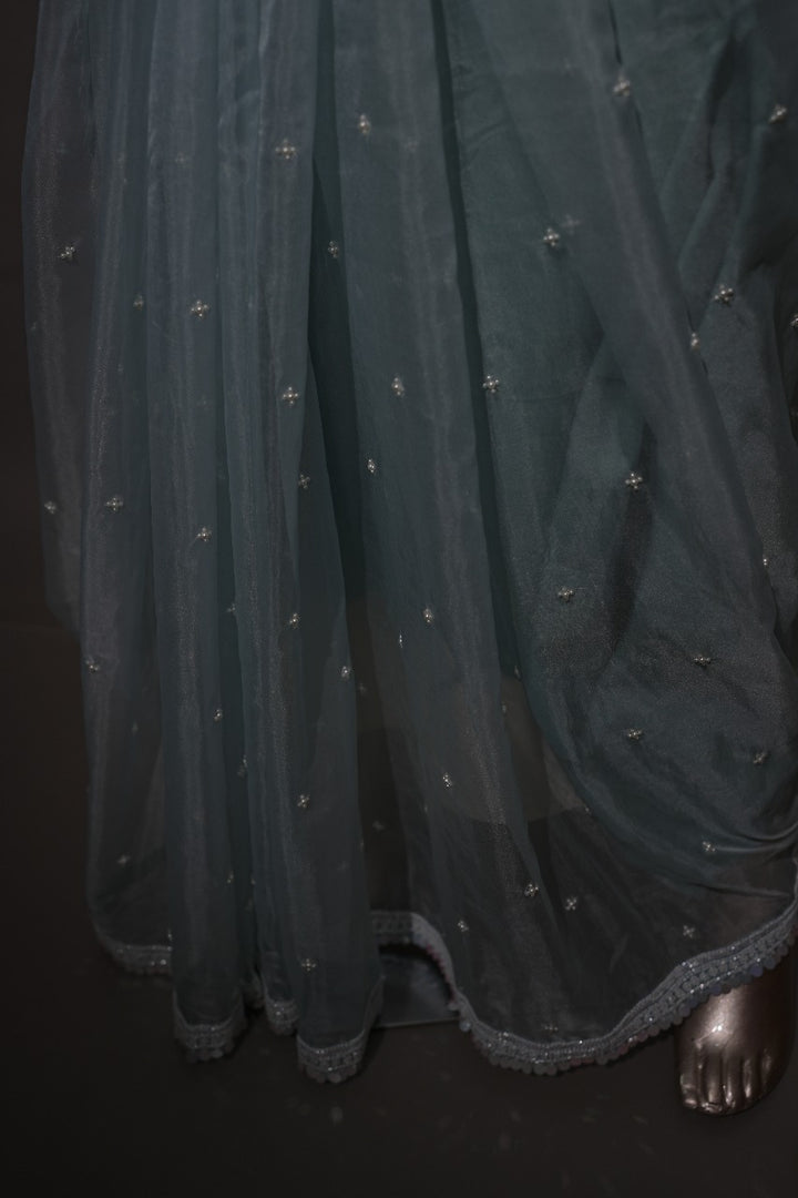 Organza Saree TSA2998