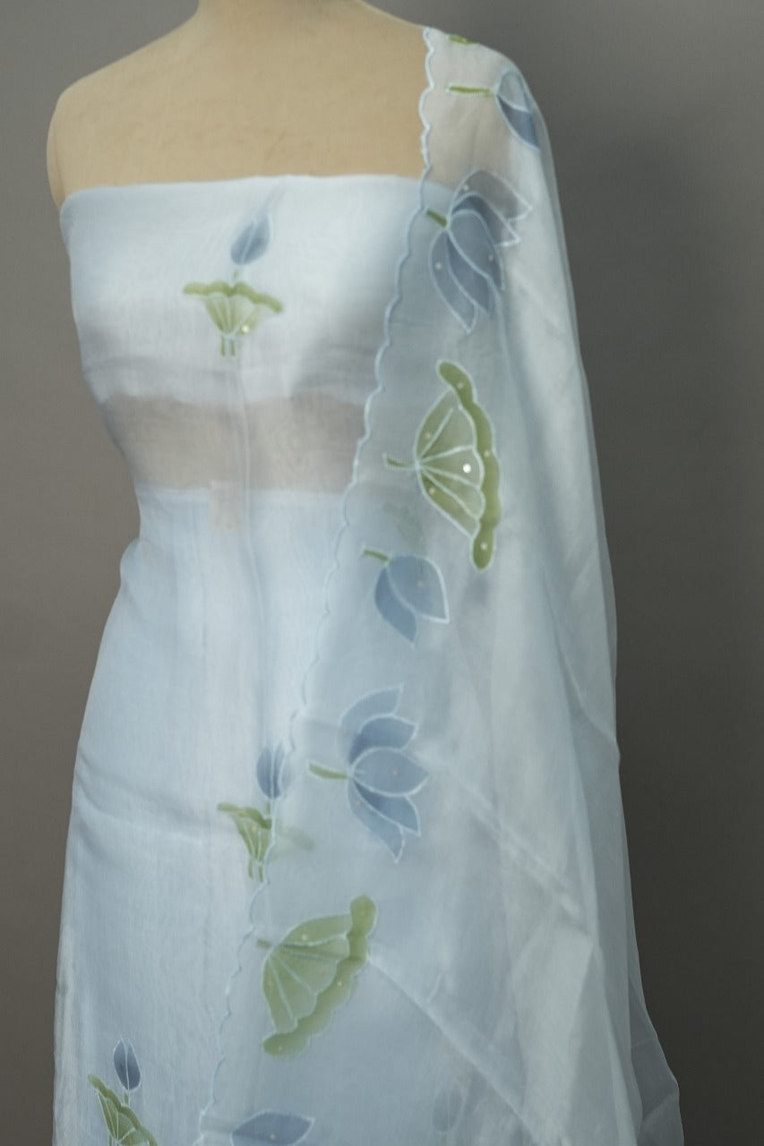 Organza Salwar TSS3026