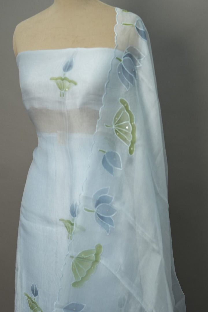 Organza Salwar TSS3026