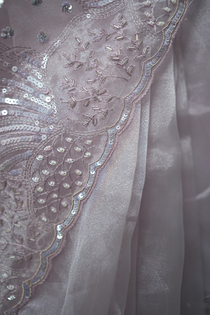 Organza Saree TSA3042