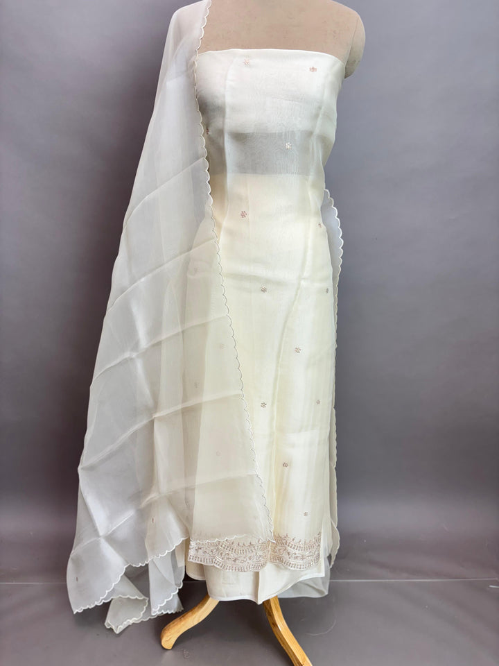 Organza Salwar TSS3038