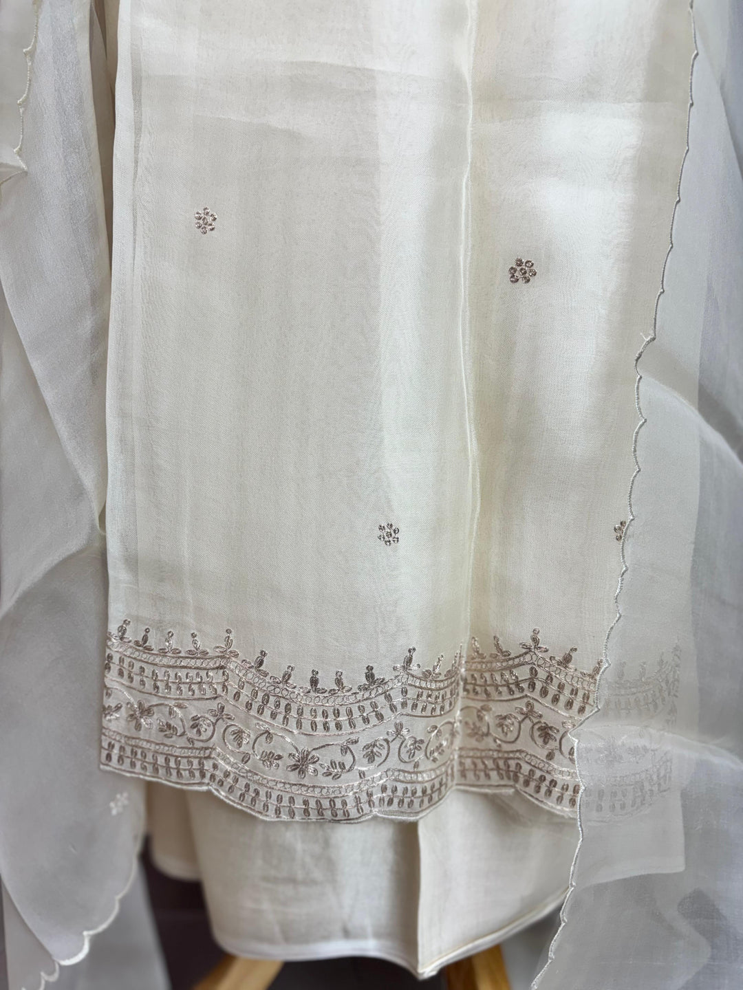 Organza Salwar TSS3038
