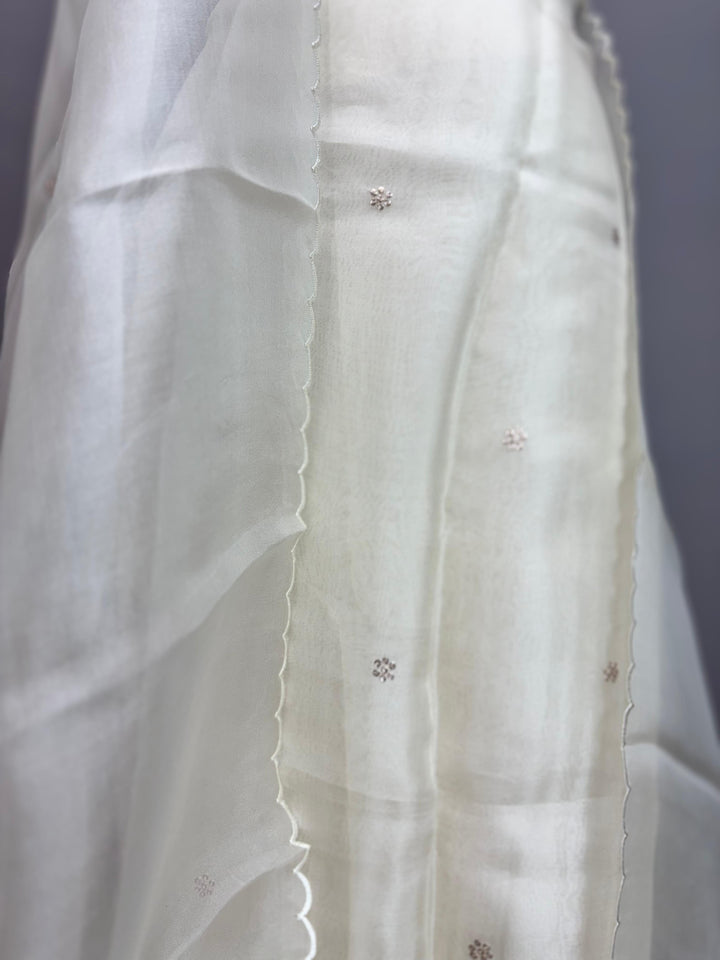 Organza Salwar TSS3038