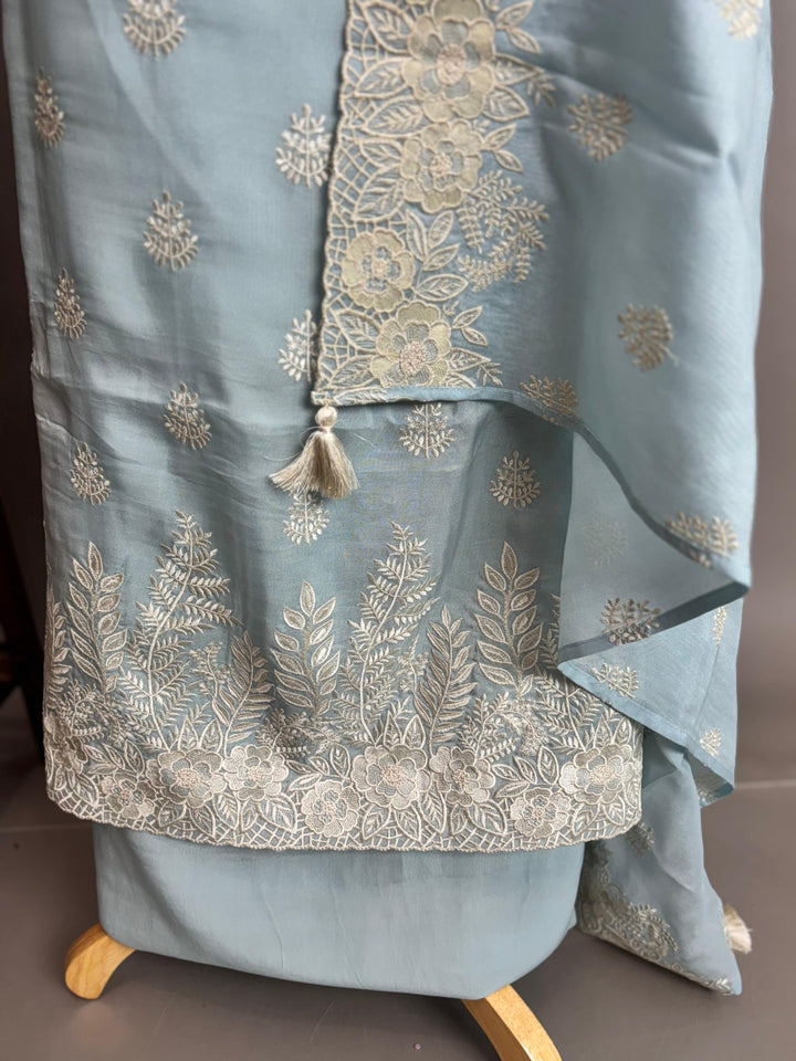 Viscose Organza Salwar TSS3044