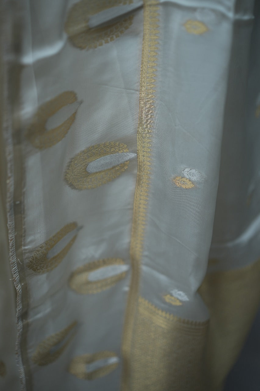 Satin Organza Saree TSA3059