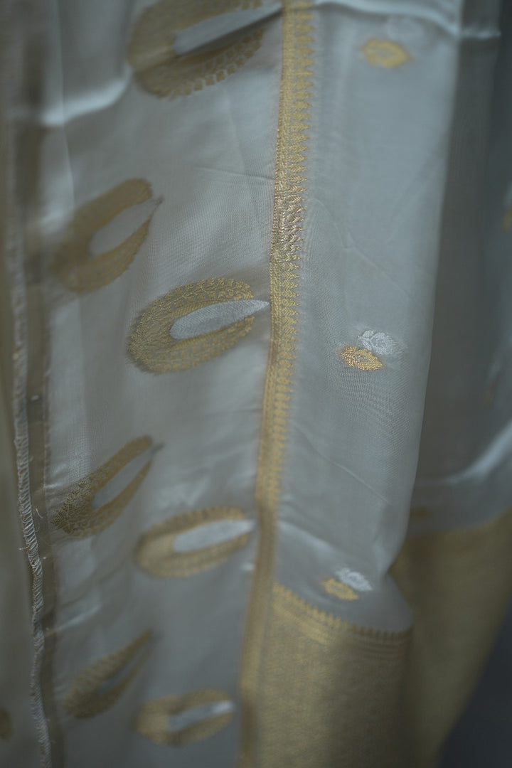 Satin Organza Saree TSA3059