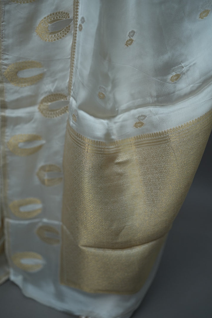 Satin Organza Saree TSA3059