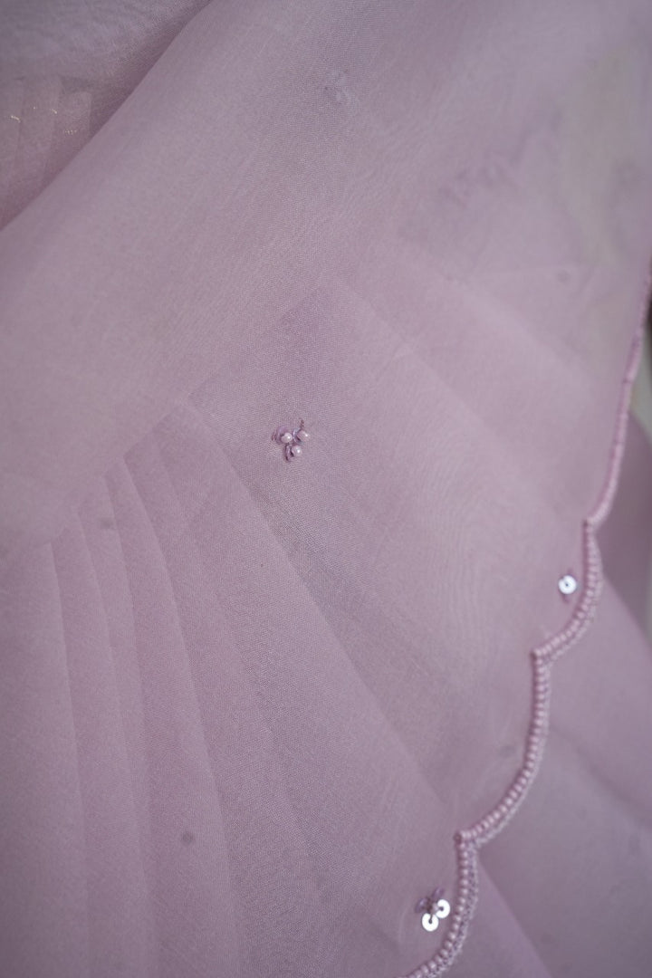 Organza Saree TSA3085