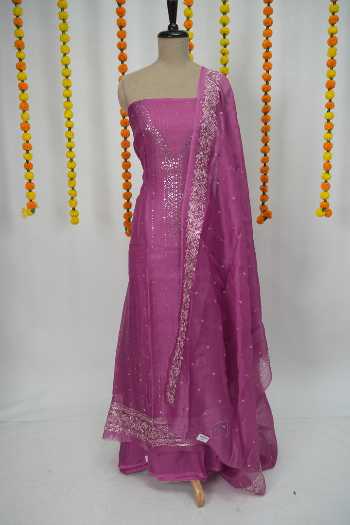 Organza Salwar TSS3161
