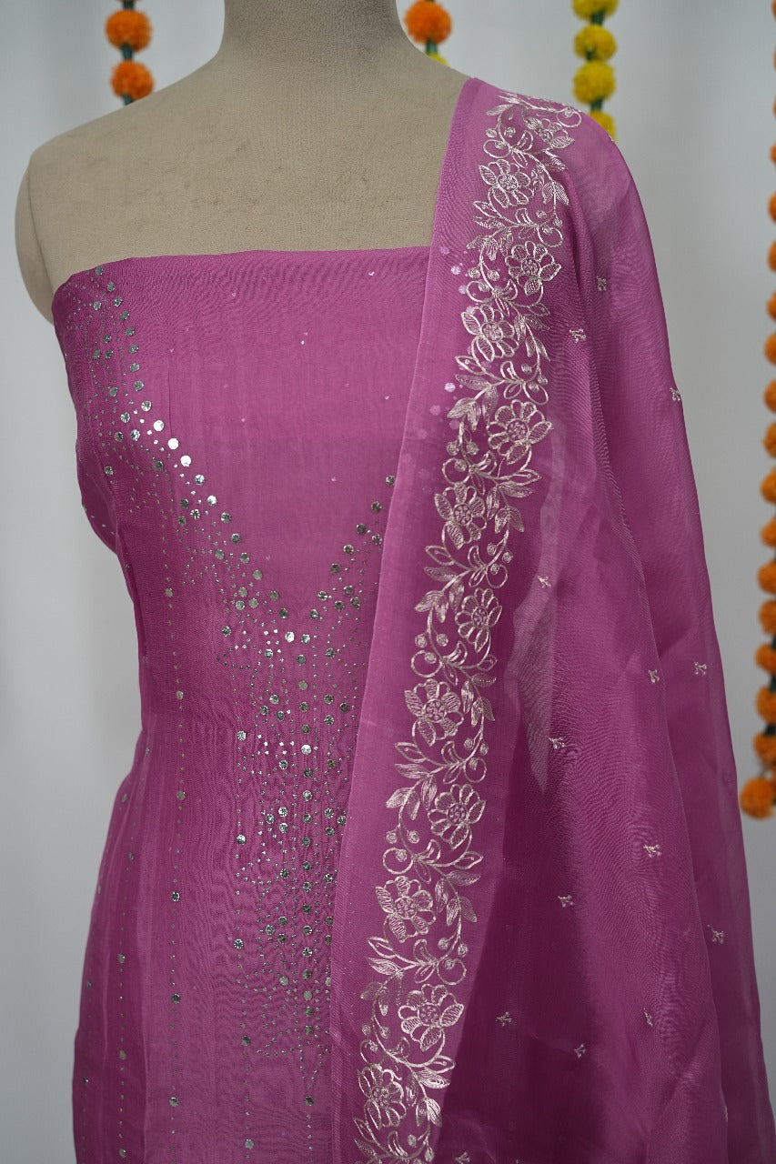 Organza Salwar TSS3161