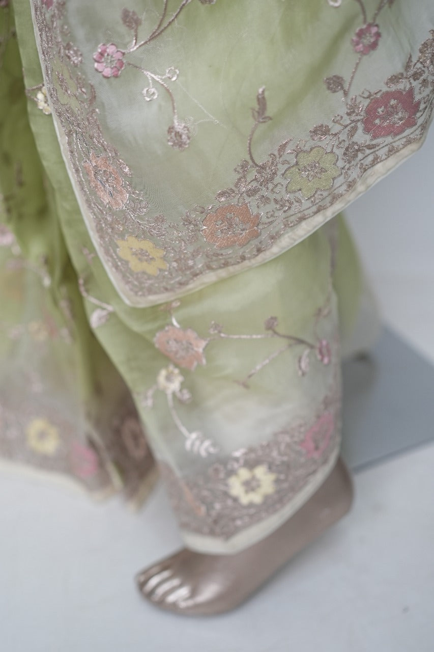 Organza Saree TSA3184
