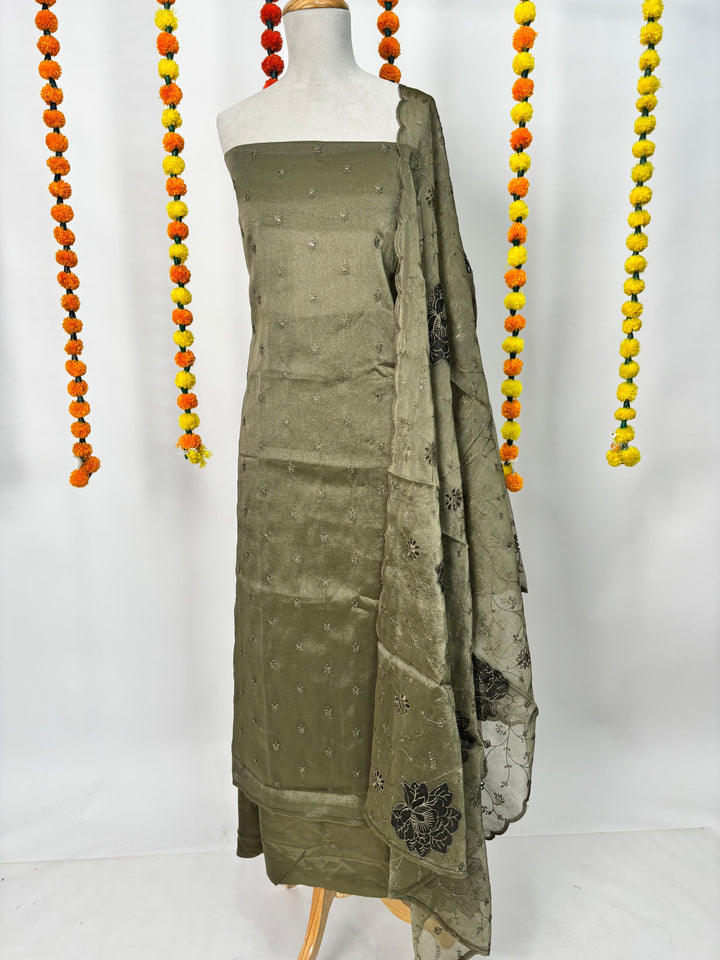 Art Organza Salwar TSS3207