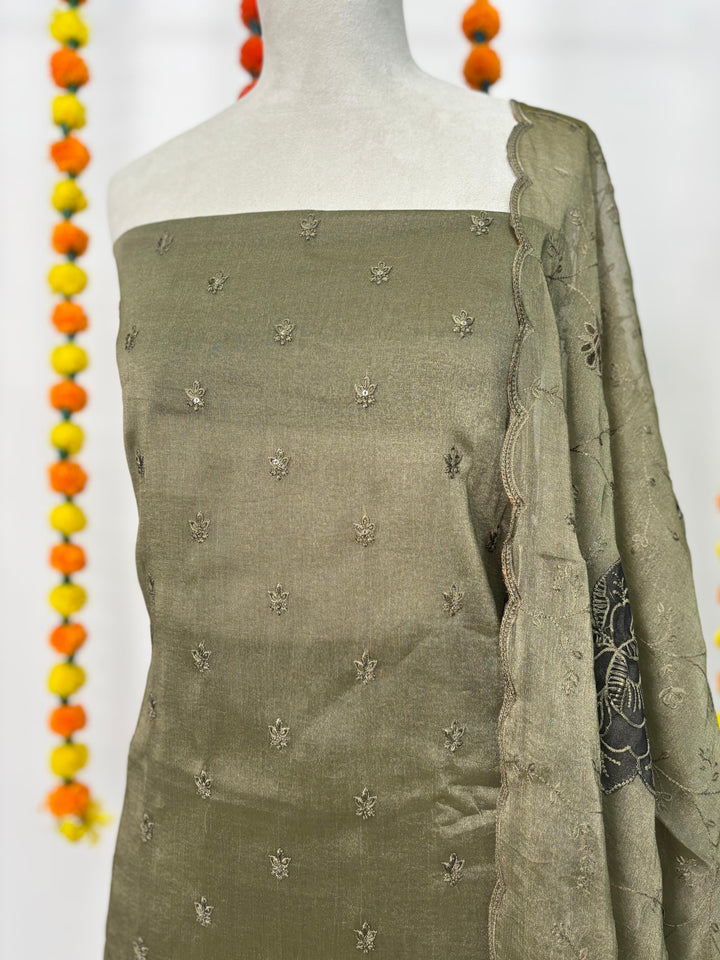 Art Organza Salwar TSS3207