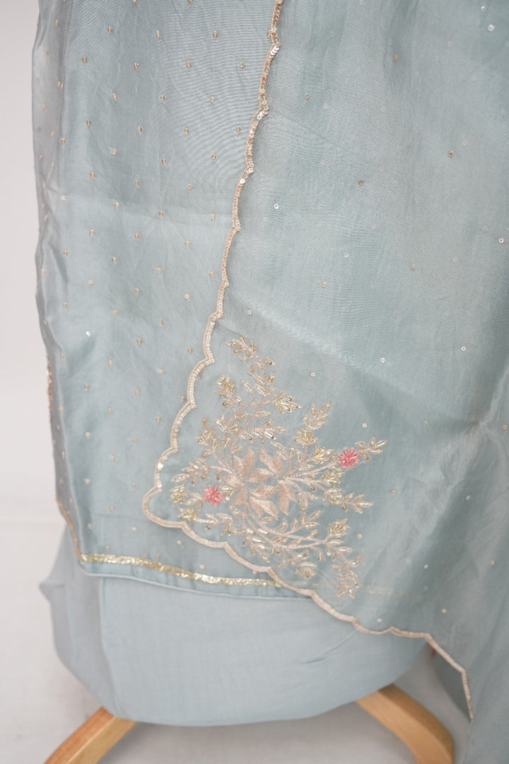 Organza Salwar TSS3247