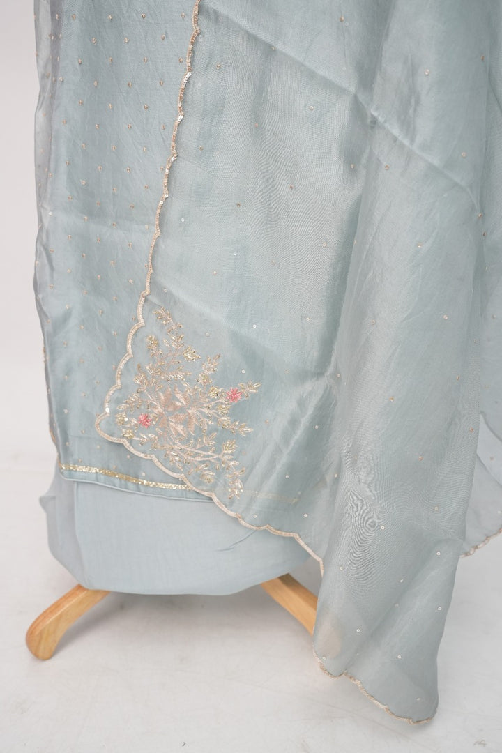 Organza Salwar TSS3247
