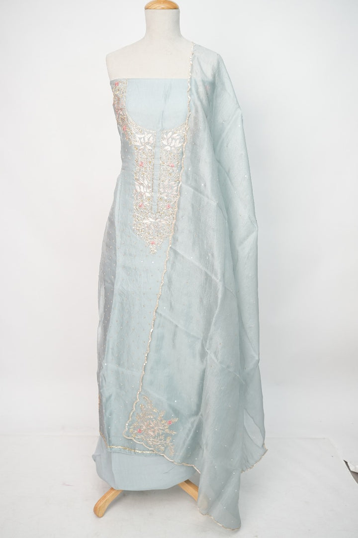 Organza Salwar TSS3247
