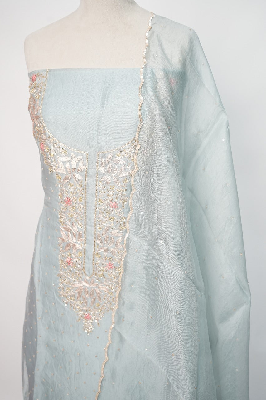Organza Salwar TSS3247