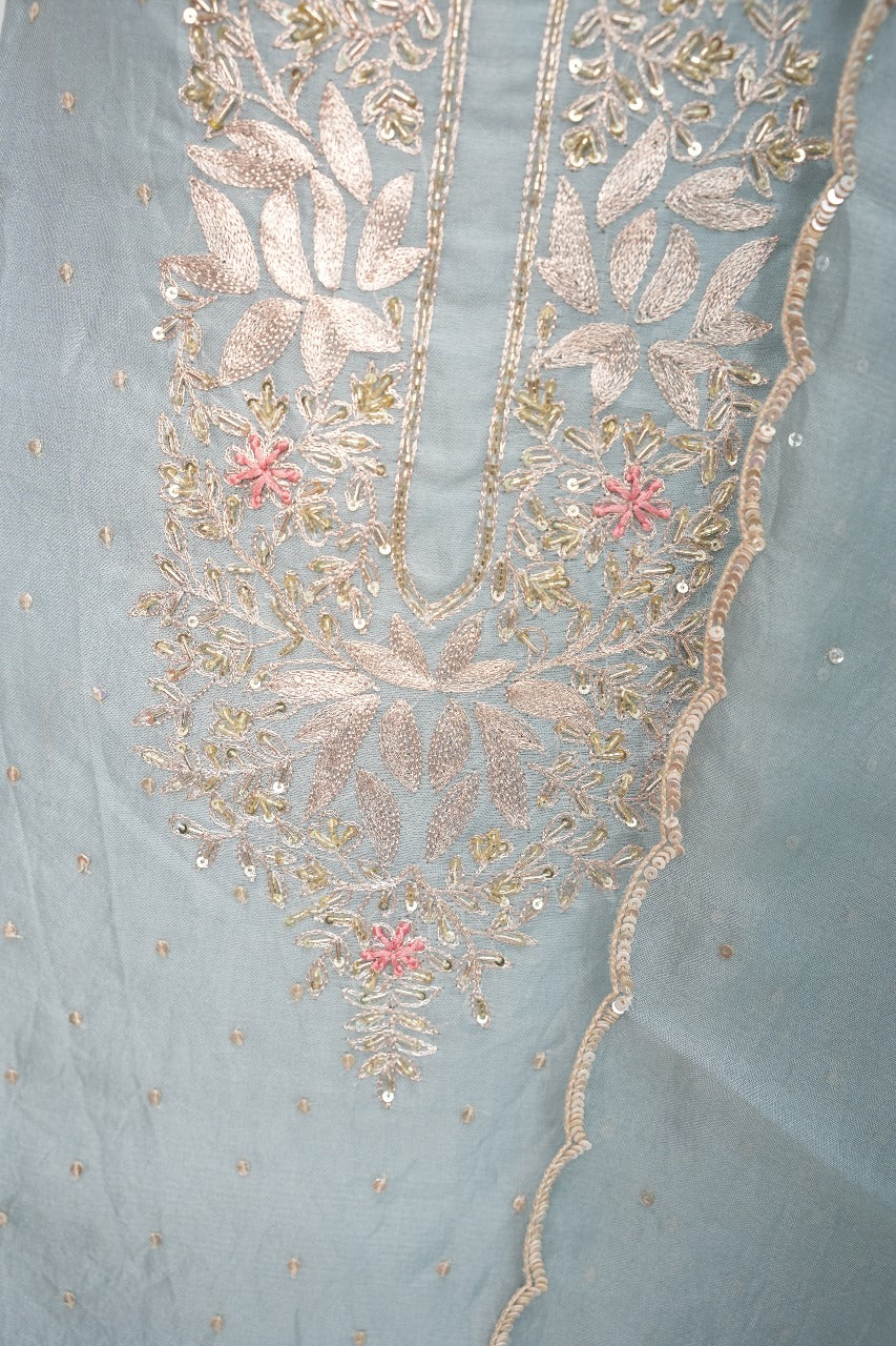 Organza Salwar TSS3247