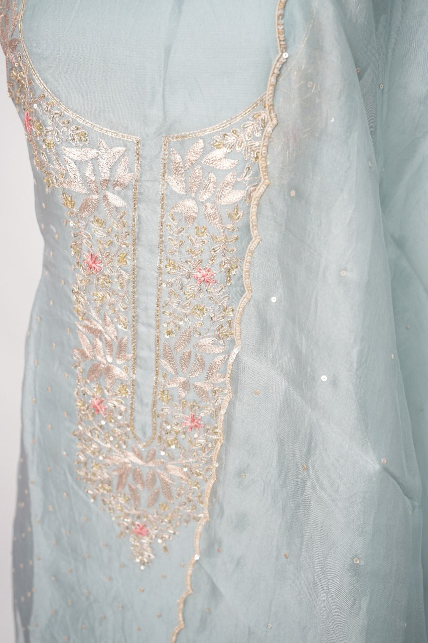 Organza Salwar TSS3247