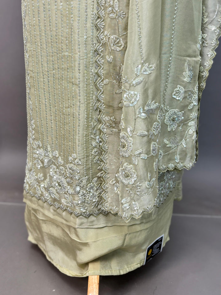 Tissue Organza Salwar TSS3254