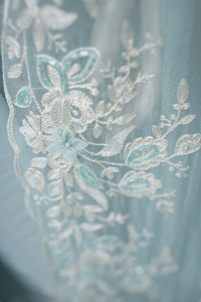Organza Saree TSA3295