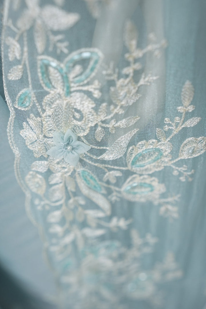 Organza Saree TSA3295
