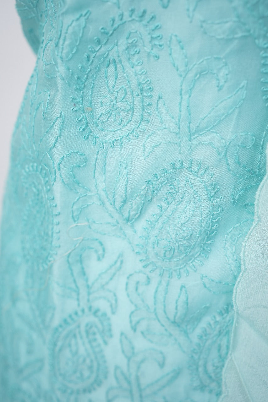 Organza Salwar TSS3308