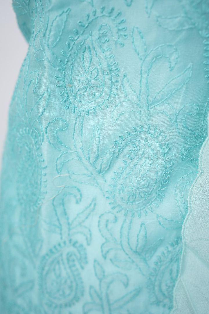 Organza Salwar TSS3308