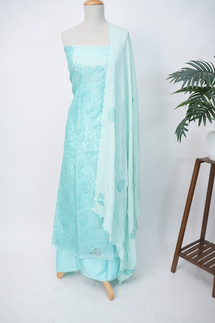 Organza Salwar TSS3308