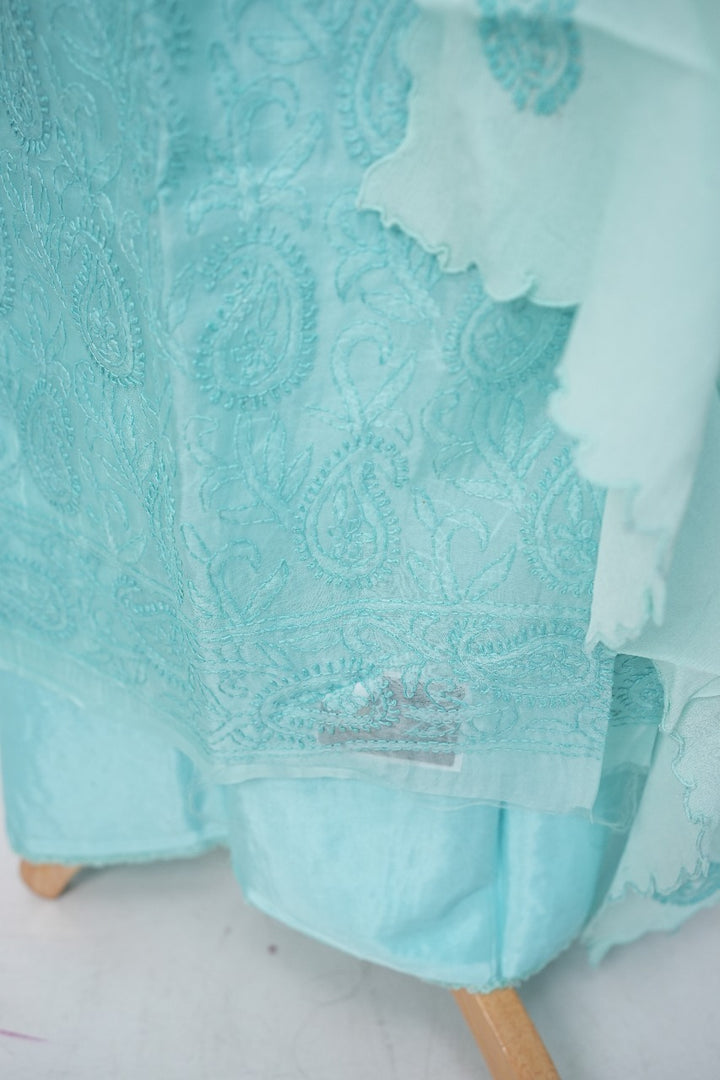 Organza Salwar TSS3308