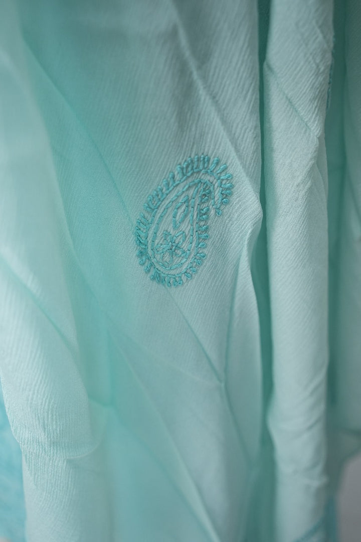 Organza Salwar TSS3308