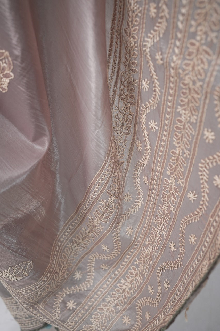 Shimmer Organza saree TSA3303