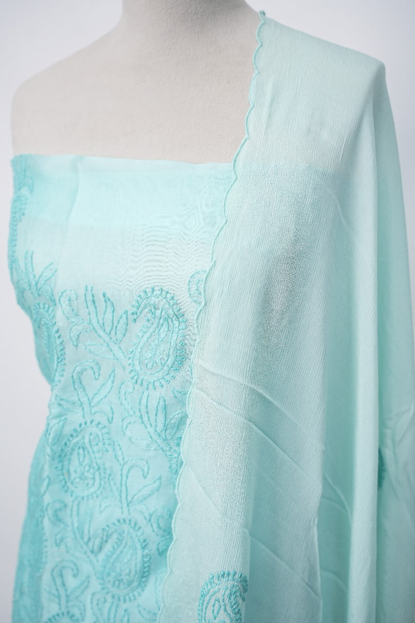 Organza Salwar TSS3308