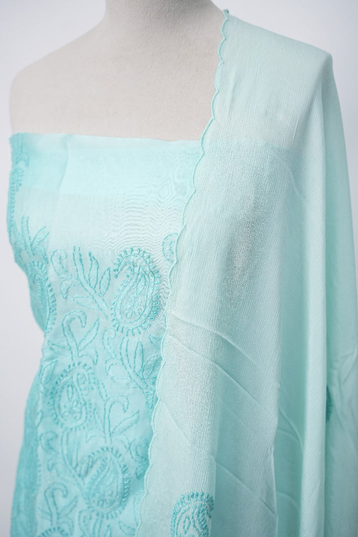 Organza Salwar TSS3308