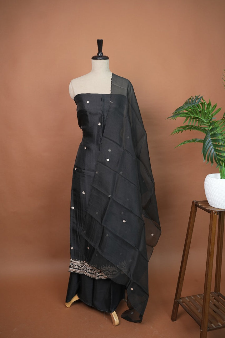 Organza Salwar TSS3322