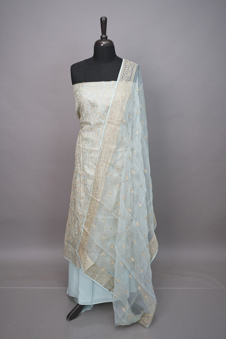 Organza Salwar TSS3333