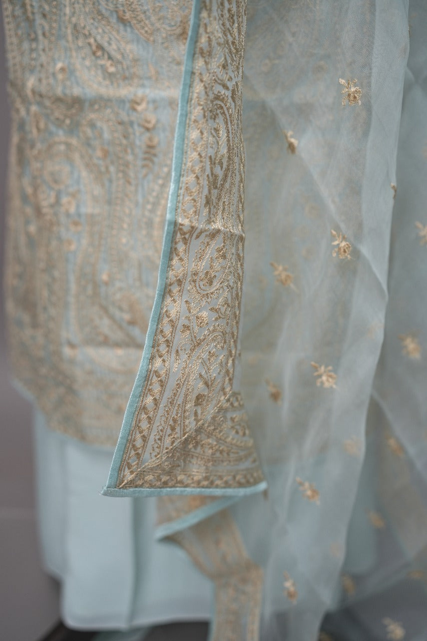 Organza Salwar TSS3333