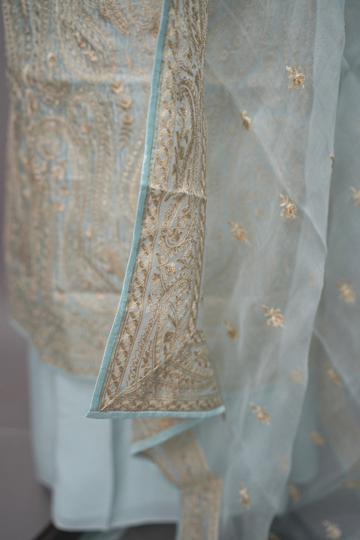Organza Salwar TSS3333