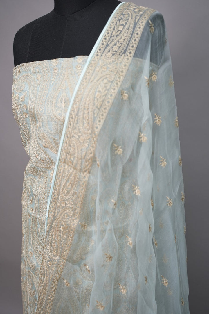 Organza Salwar TSS3333