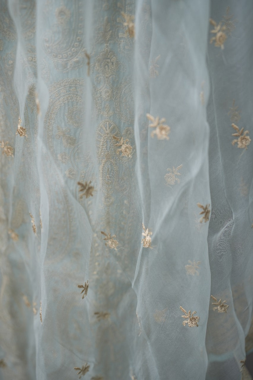 Organza Salwar TSS3333