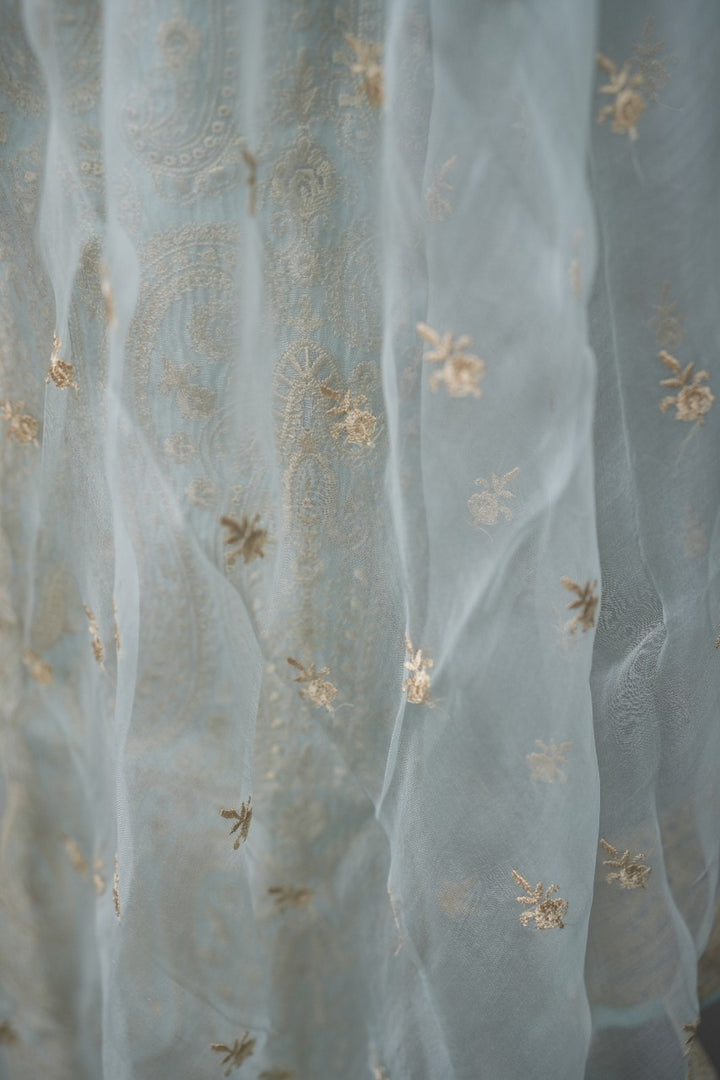 Organza Salwar TSS3333
